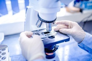 investigacion