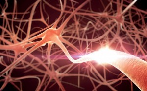 neuronas