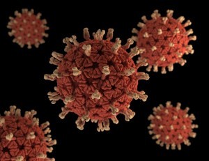 rotavirus