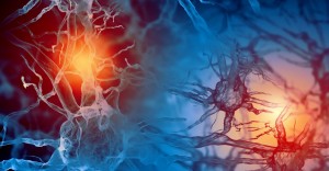 neuronas