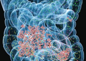 Microbioma-300x211