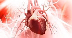 corazon-1