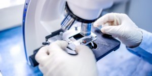 investigacion