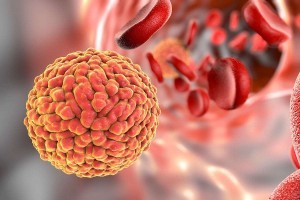 zika