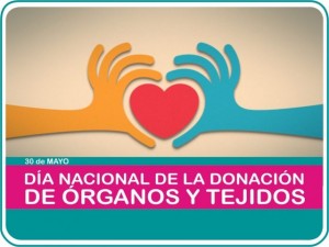DONACION-DE-ORGANOS-640x480