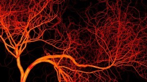 angiogenesis
