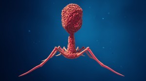 bacteriofago