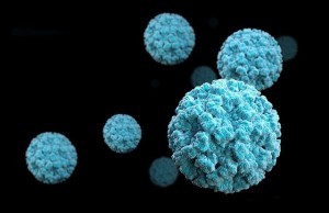 norovirus