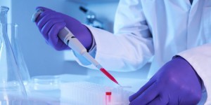 investigacionhuesos