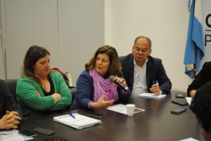 Storani Salas en Comisión de Niñez