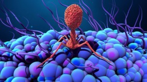 bacteriofago