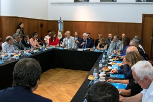 cofesa1