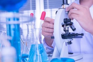 investigacion