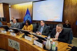 paho-briefing-ncov-oas-ambassadors-1400x933