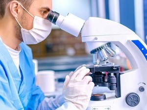 microscopio