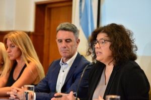 Vizzotti en conferencia de prensa