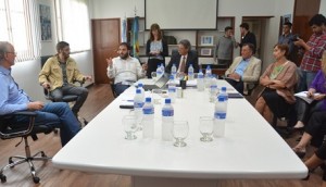 coronavirus reunión de expertos