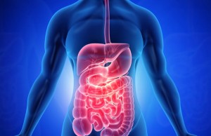 gastrointestinal