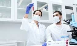 investigacion