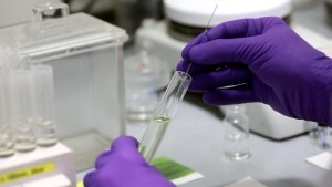 laboratorio
