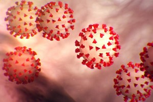 coronavirus-470-CDC-470x313