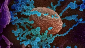 coronavirus-camuflaje