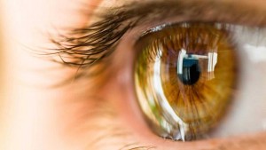 cornea