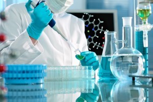 INVESTIGACION