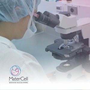 foto microscopio 2