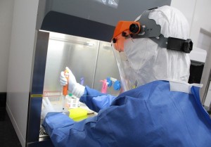 genoma virus