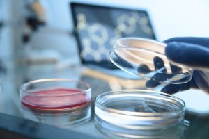 laboratorio