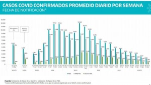 grafico casos