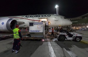 vuelo