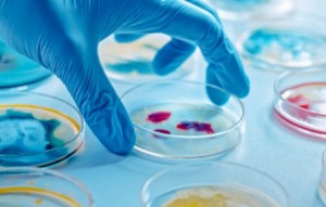 biotecnologia