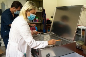 radioterapia