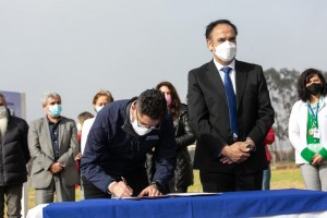 firma terreno