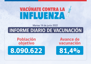 Chile banner influenza