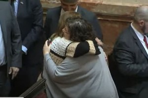 vizzotti senado