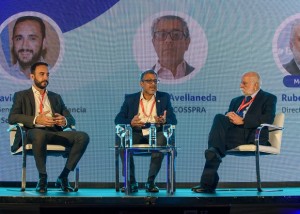 D. Aruachan- F. Avellaneda- R. Torres-AmCham