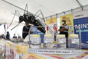Dengue Movil