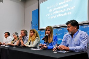 gripe_aviar_15-2-23