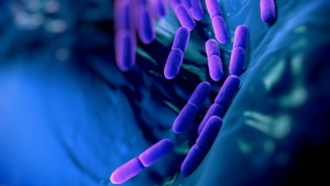 klebsiella pneumoniae