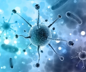 Malaria-2-300x250