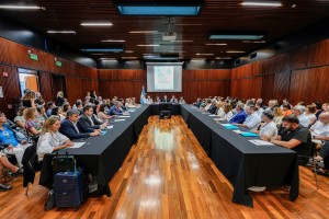 convocatoria