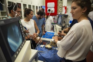 simulacion