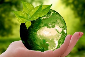 Medio ambiente