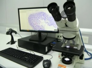 Microscopio estudio