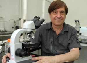 Salamone