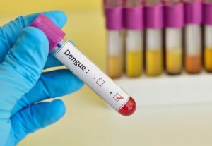 Dengue