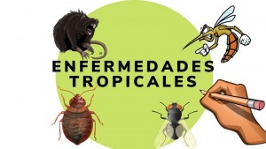 enfermedades-tropicales